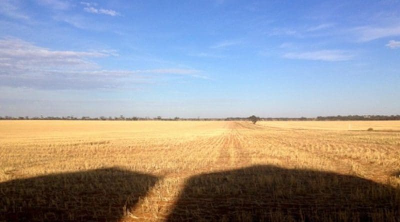 farm farming agriculture