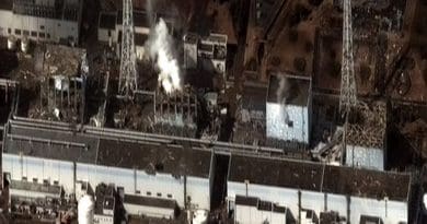 The Fukushima I Nuclear Power Plant after the 2011 Tōhoku, Japan earthquake. Photo by Digital Globe, Wikipedia Commons.