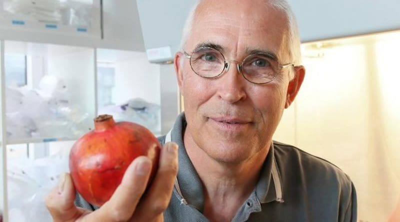 EPFL researcher and last author Johan Auwerx is pictured. Credit © EPFL / Alain Herzog