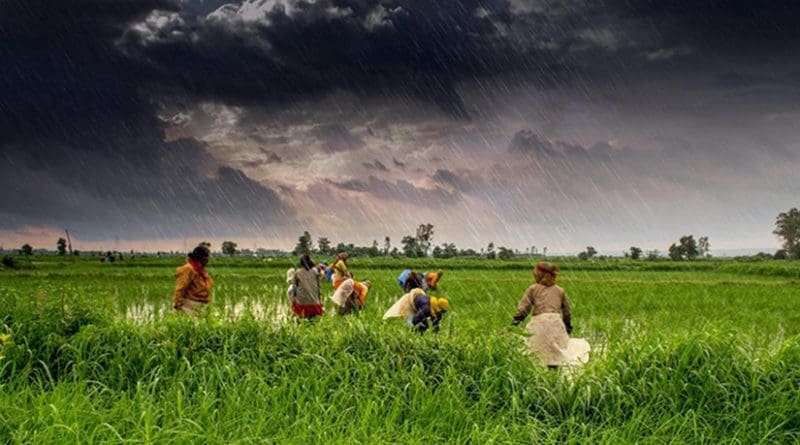 Monsoon rains fall on the green valleys of Madhya Pradesh, India. Credit Rajarshi Mitra