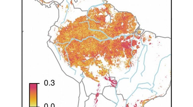 The Amazon area with high (light colours), and low dynamics (dark), meaning low recovery rates after perturbations. The dark purple colours (0.3) reflect areas in fragile state.