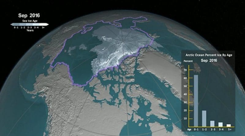 Arctic sea ice has not only been shrinking in surface area in recent years, it's becoming younger and thinner as well. Credit: Screenshot from NASA's Goddard Space flight Center/Jefferson Beck animation.