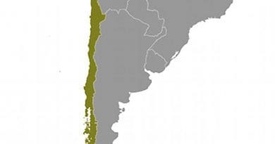Location of Chile. Source: CIA World Factbook.