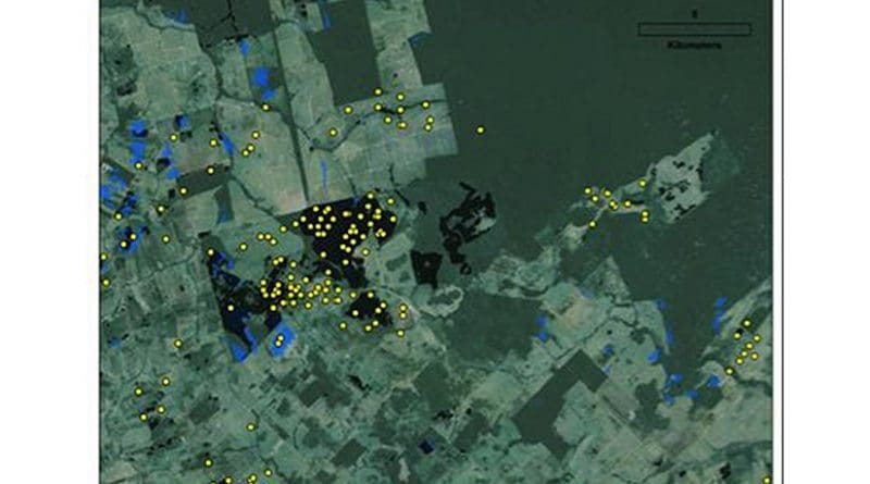 New research shows that landowners in Brazil are clearing more forest than government measures suggest. In this satellite image of the Brazilian state of Mato Grosso, blue regions indicate deforestation tracked by the PRODES system. Black boxes and yellow dots mark additional deforestation that was not tracked. Credit VanWey lab / Brown University