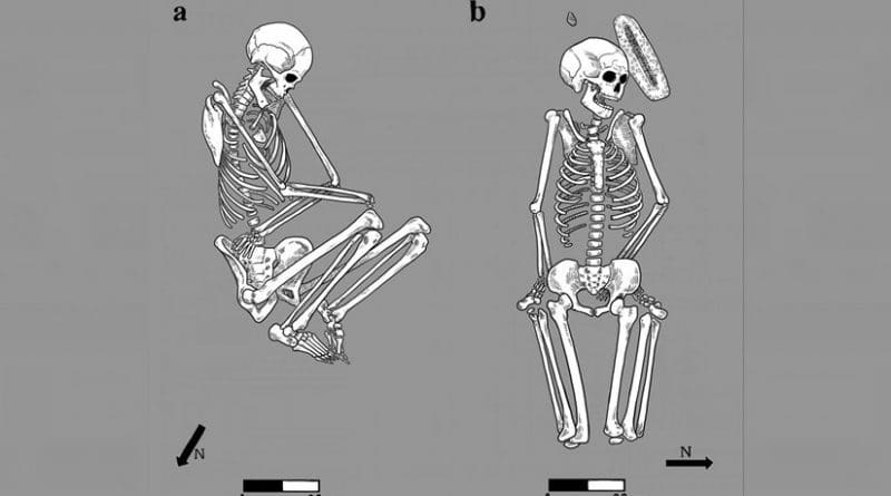 Bodies buried by family members were arranged in a flexed position on their side (left), while in atypical burials, bodies were left in more awkward positions (right). Credit Illustration by Caitlin McPherson