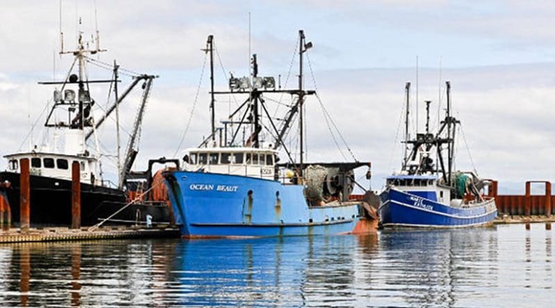 Fishing fleet in Astoria, Oregon (USA).