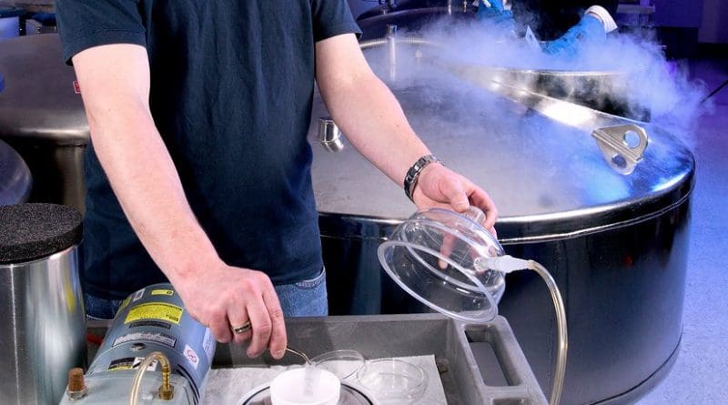 Cryopreservation of plant shoots. Open tank of liquid nitrogen behind. Photo by US Agricultural Research Service, Wikipedia Commons.