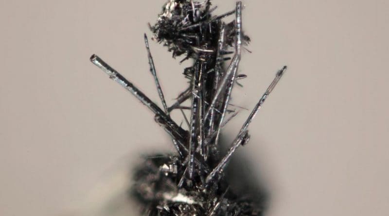 The tiny, silvery, cylindrical whiskers are a new mineral --merelaniite -- named for a mining region in Tanzania. Credit Michigan Tech, John Jaszczak