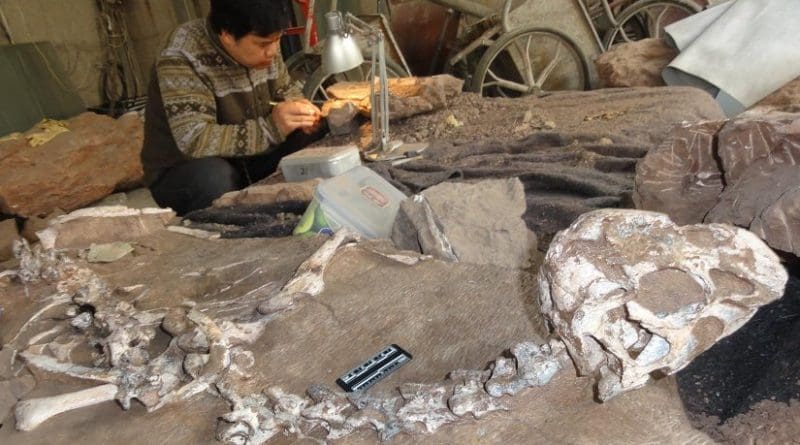 A well preserved fossil of a new species of winged dinosaur, known as Tongtianlong or Mud Dragon, is giving scientists vital clues on a late flurry of evolution before the mass exctinction event. Credit Junchang Lu