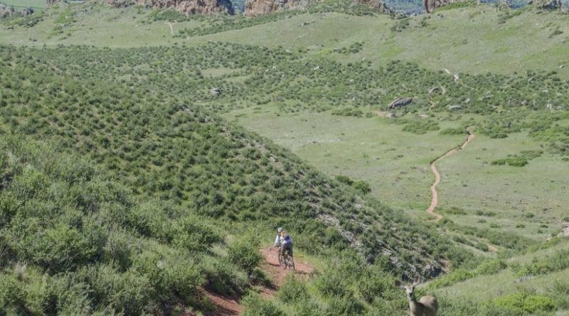 Devil's Backbone Open Space in Loveland, Colo., is popular with mountain bikers. Credit Photo: Sara Bombaci/Colorado State University