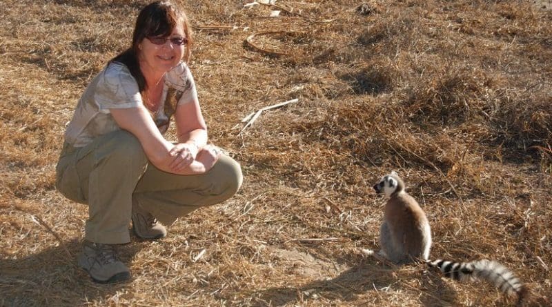 CU Boulder Professor Michelle Sauther, shown here, is part of a new study showing Madagascar's ring-tailed lemurs are declining significantly from habitat loss, hunting, and illegal capture. Credit Michelle Sauther