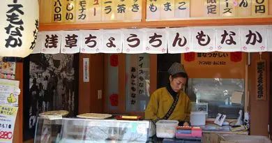 Woman working in Tokyo, Japan market.