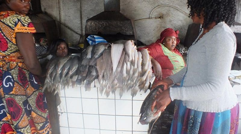 Women barbecuing fish. Credit: Ngala Killian Chimtom | IDN-INPS