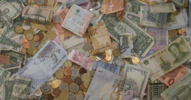 money currency bills coins currencies banknotes