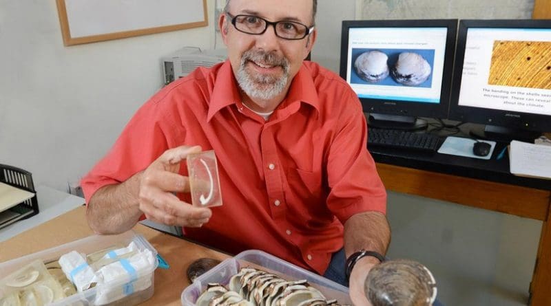 Iowa State University's Alan Wanamaker studies clam shells from the Atlantic for clues to the ocean's past climate. Credit Bob Elbert/Iowa State University