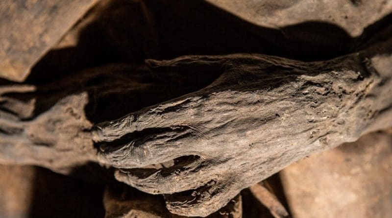 A mummy found in the same Lithuanian crypt where researchers extracted DNA from a small child, thought to have died of smallpox. Credit Kiril ?achovskij