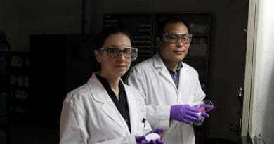 UAlberta materials engineering professor Hyo-Jick Choi (right) and graduate student Ilaria Rubino examine sample of filters treated with a solution that kills viruses. Choi and his research team have devised a way to improve the filters in surgical masks so they can trap and kill airborne pathogens. Credit UAlberta.ca