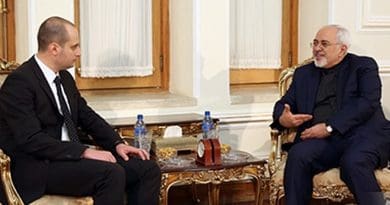 Mikheil Janelidze and Mohammad Javad Zarif, January 11, 2017. Photo: Georgian MFA