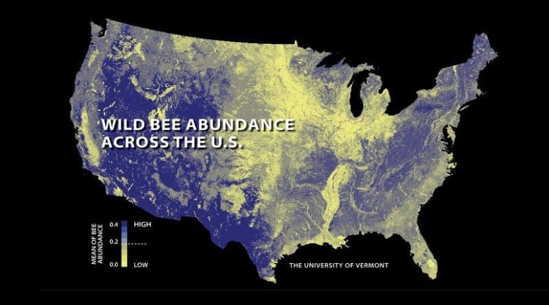 The first national study to map US wild bees suggests they're disappearing in many of the country's most important farmlands. Relatively low abundances are shown here in yellow; higher abundances in blue. Credit PNAS