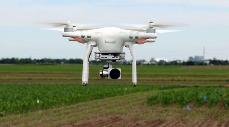Drones are increasingly being used in agriculture. A new study demonstrates their benefits for soybean breeders.