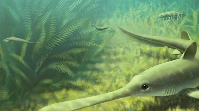 An illustration depicts what Mazon Creek may have looked like 300 million years ago, complete with Tully monsters (the two small swimming creatures), a large shark and a salamander relative. Credit John Megahan