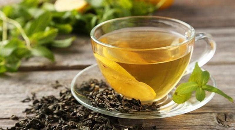 An engineering team at Washington University in St. Louis says a compound found in green tea may be of particular benefit to patients struggling with multiple myeloma and amyloidosis. Credit Washington University in St. Louis