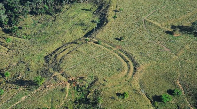 Geoglyph photos. Credit Jenny Watling