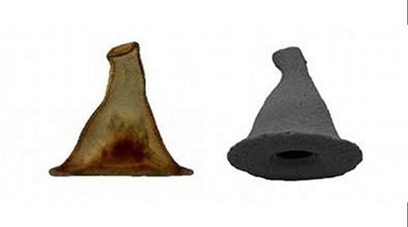 Researchers identify a microorganism with a carapace that resembles the wizard's hat worn by Gandalf. Credit images: Jordana C. Féres & Alfredo L. Porfírio Sousa