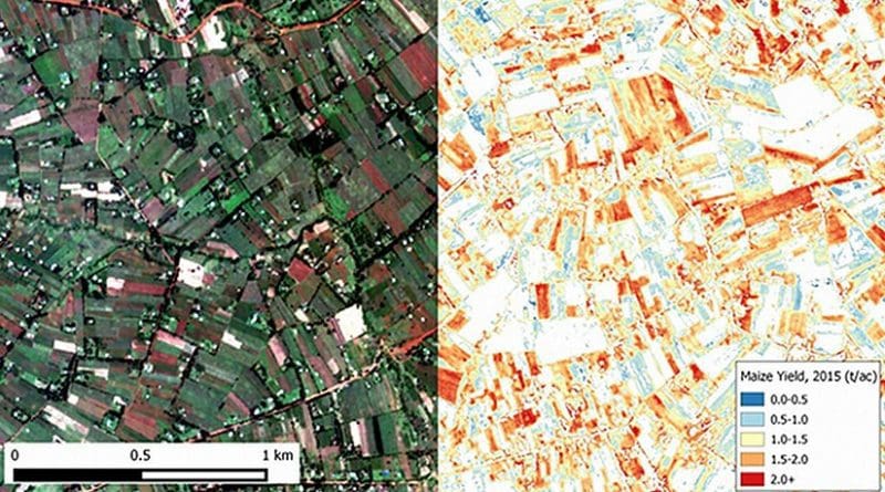 Image of maize farm plots in Western Kenya were taken by Terra Bella satellites (left) and an agricultural yield map (right) generated from the same image using machine learning algorithms. Credit Image courtesy of David Lobell.