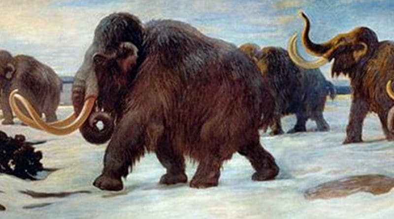 Wooly mammoths near the Somme River, AMNH mural. Credit Charles R. Knight, Public Domain, Wikimedia Commons