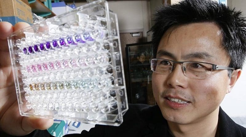 Andy Tao, a professor at Purdue University's College of Agriculture, discovers a protein that could make cancer detection possible through a blood test Credit Credit: Purdue Agricultural Communications/Tom Campbell