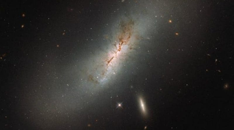 Two galaxies are clearly visible in this Hubble image, the larger of which is NGC 4424. The smaller, flatter, bright galaxy sitting just below NGC 4424 is named LEDA 213994. Credit ESA/Hubble & NASA