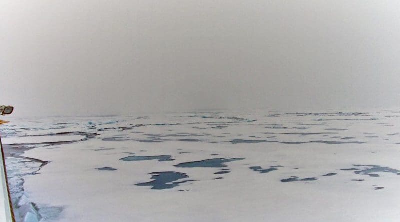 Melt ponds cover vast areas in the Arctic. Credit Heidi Louise Sørensen/SDU