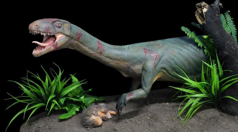 Life model of the new species Teleocrater rhadinus, a close relative of dinosaurs, preying upona juvenile cynodont, a distant relative of mammals. Credit Museo Argentino de Ciencias Naturales