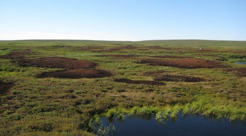 Bare peat surfaces in the discontinuous permafrost zone of the sub-Arctic East European tundra. New research explores the source of unexpectedly high nitrous oxide emissions from such bare peat soils in Arctic tundra." Photo credit: University of Eastern Finland Biogeochemistry Research Group