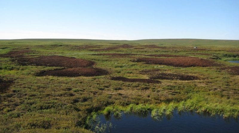 Bare peat surfaces in the discontinuous permafrost zone of the sub-Arctic East European tundra. New research explores the source of unexpectedly high nitrous oxide emissions from such bare peat soils in Arctic tundra." Photo credit: University of Eastern Finland Biogeochemistry Research Group