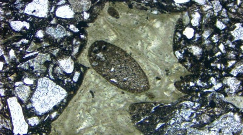 This is a photomicrograph of a vesicular green shard from the Onaping Formation of the Sudbury impact basin. Credit Paul Guyett, Trinity College Dublin.