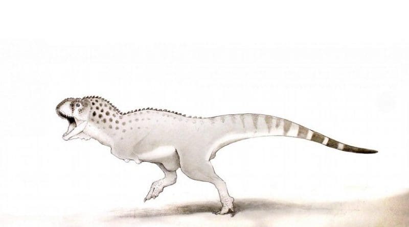 This is a Chenanisaurus barbaricus Credit Dr Nick Longrich, Milner Centre for Evolution, University of Bath