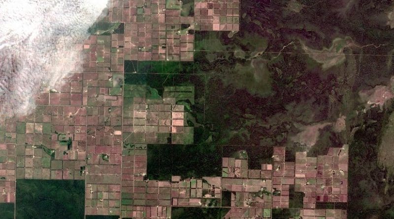This is an image from the European Space Agency's Sentinel 2 satellite shows large areas of deforestation caused by the expansion of livestock agriculture in Paraguay's western region. Credit European Space Agency