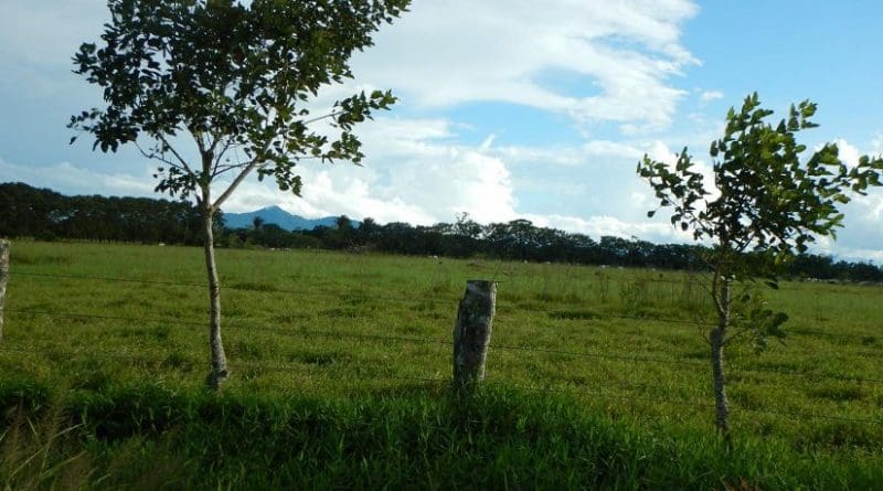 This is deforested land in Central America. Credit Oregon State University