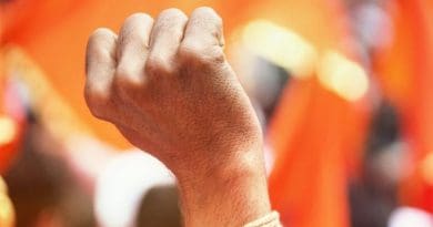democracy fist