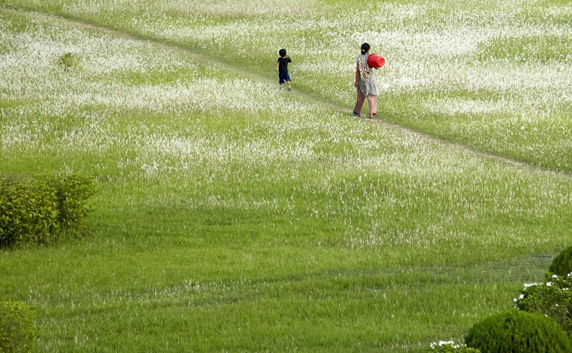 Pastoral scene in Nepal.