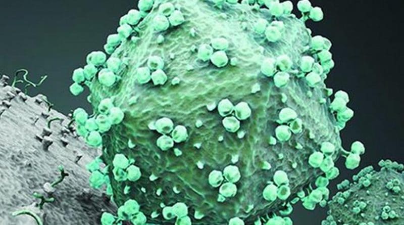 he vaccine candidates used in the study mimic the trimeric envelope protein spikes on the surface of HIV. Rendering of HIV with envelope protein trimers clearly visible on the virus surface. Credit Courtesy of La Jolla Institute for Allergy and Immunology.