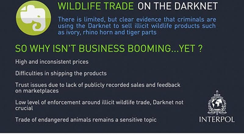 Wildlife trade on the Darknet. Source: INTERPOL