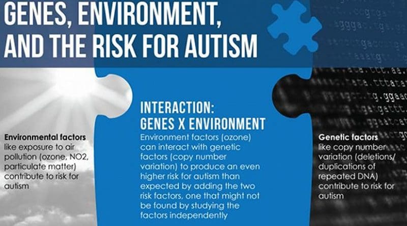 Genes, Environment, and the Risk for Autism: Environment factors (ozone) can interact with genetic factors (copy number variation) to produce an even higher risk for autism than expected by adding the two risk factors, one that might not be found by studying the factors independently. Credit Penn State University
