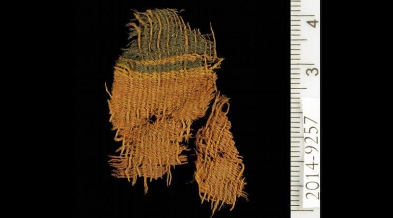 This is a dyed textile at Timna. Credit Clara Amit, courtesy of the Israeli Antiquities Authority.