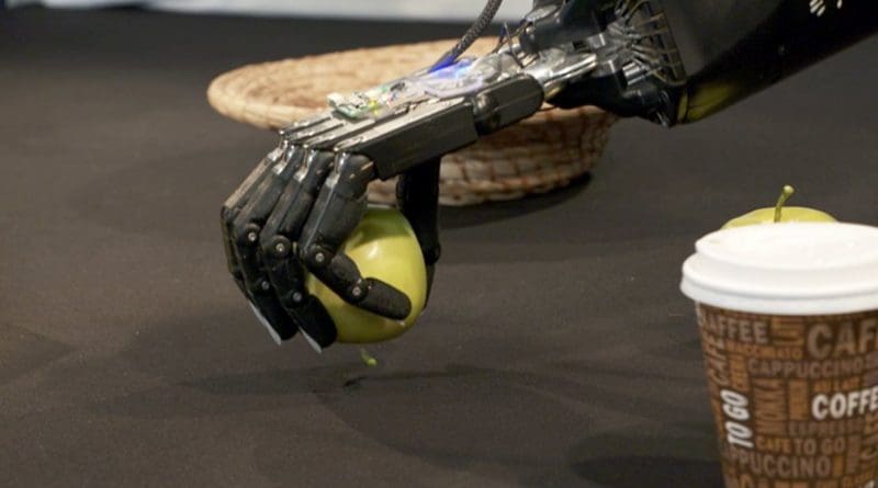 Even though the robot hands are strong enough to crush the apple, they dole out their strength for a fine-touch grip that also won’t damage delicate objects. This is made possible by connecting tactile sensors developed at CITEC with intelligent software. Photo: Bielefeld University