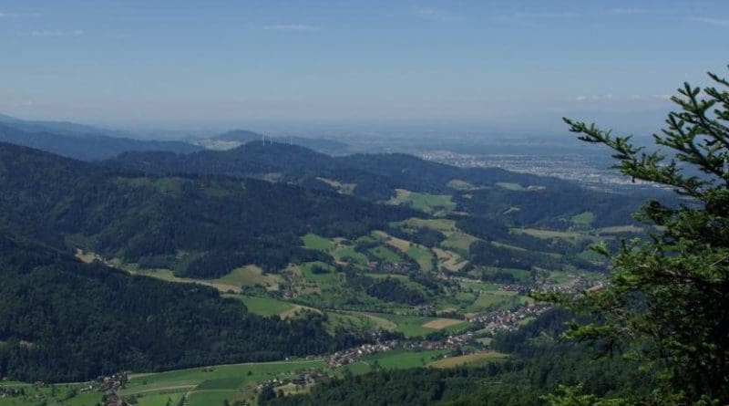 Like many areas in Central Europe, large parts of the Black Forest are covered by spruce forests. These are particularly susceptible to climate change. Credit Photo: Jürgen Bauhus
