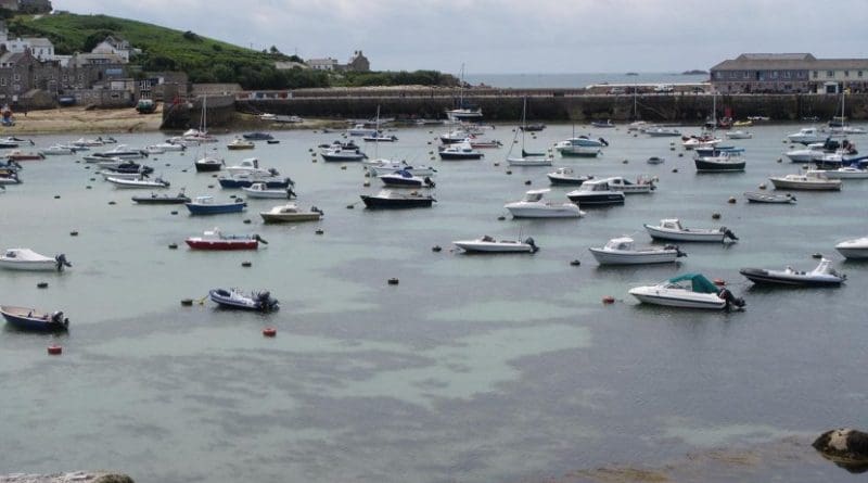 Moored boats. Credit Swansea University