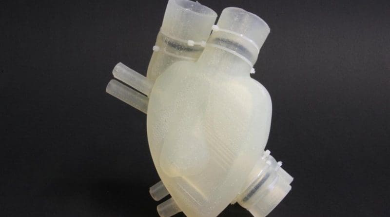 The soft artificial heart resembles the human heart in appearance and function. Credit Zurich Heart